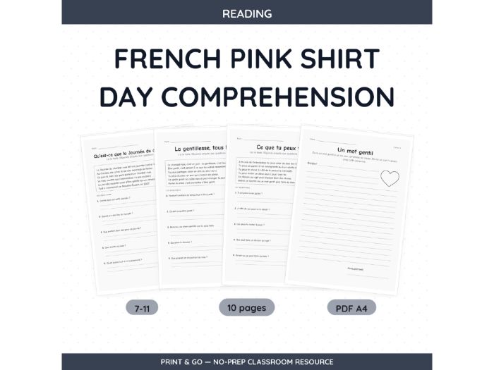 French Pink Shirt Day Comprehension | 10 pp