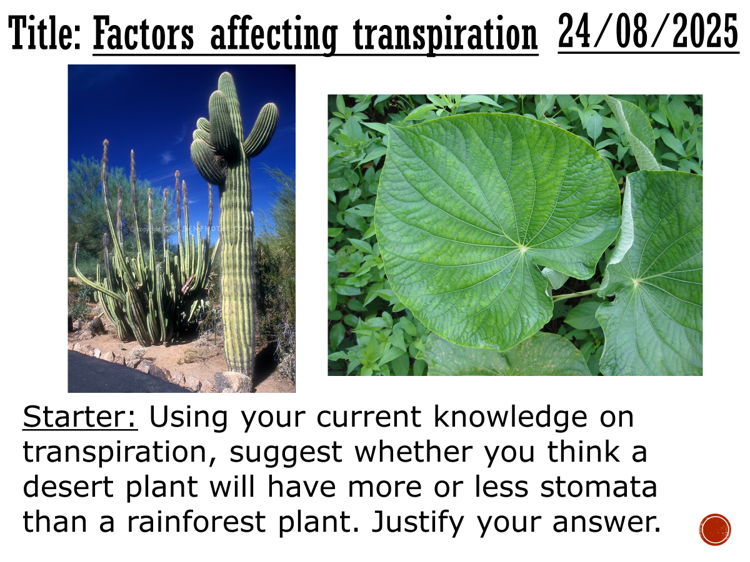 Factors affecting transpiration - complete lesson (GCSE 1-9)