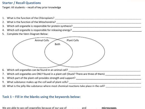 Animal and Plant Cells Worksheet | GCSE Science | Organelles and Function | With Answers