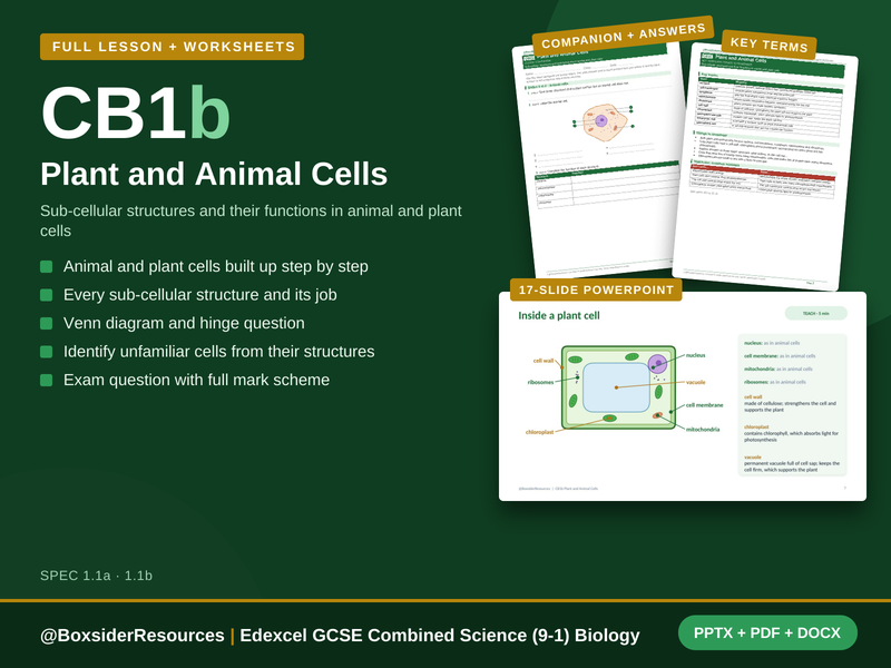 CB1b Plant and Animal Cells | Edexcel GCSE Combined Science (9-1) | Lesson + Worksheet