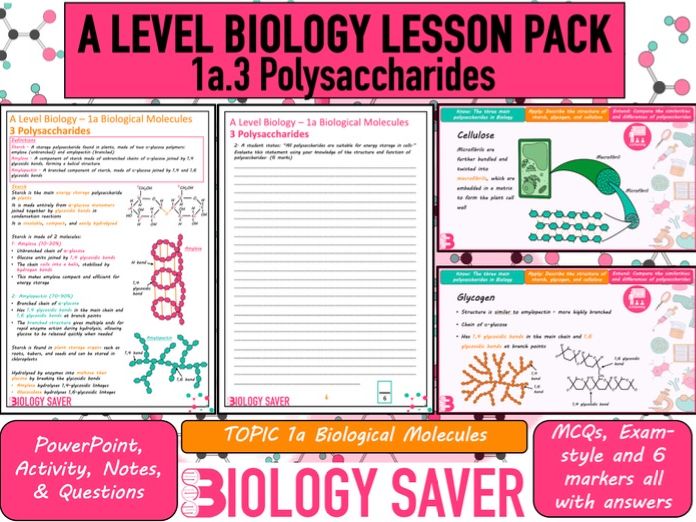 A Level Bio Lesson - 1a.3 Polysaccharides