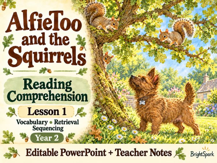 KS1 Fiction Reading Comprehension Lesson