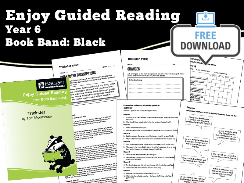 Guided Reading Notes: Trickster — Year 6