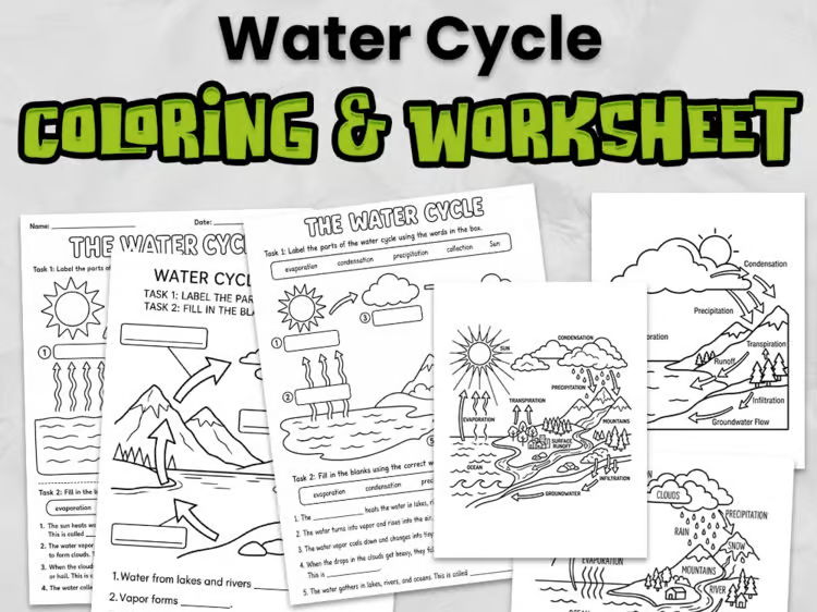 Water Cycle Colouring Pages & Worksheets | Science Activities | EYFS, KS1 & KS2 Printable PDF