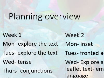 3 week block of Persuasive leaflet lessons English