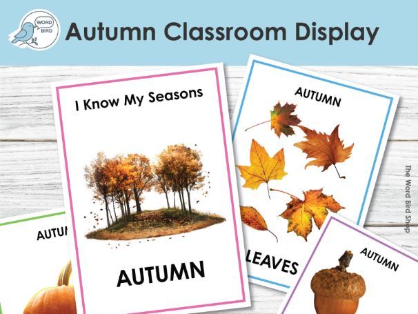 Autumn Classroom Display | Real Photo Posters | 18 Pages | Flash Cards & Wall Decor