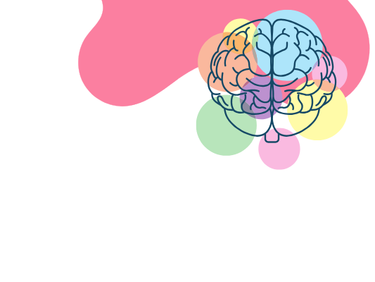 IB Psychology NEW SPEC (2027)