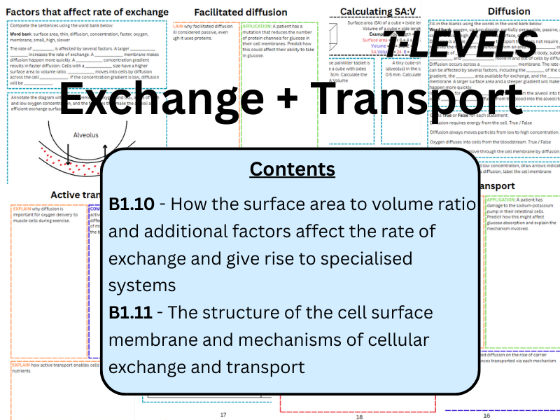 T Level Health Exchange + Transport workbook