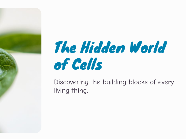 Y7 - Cells - What Are Cells & Why Do They Matter?