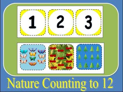 Nature Counting to 12 Activity