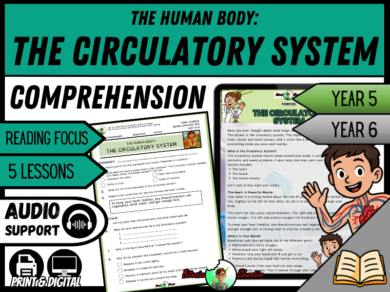 Circulatory System Explained | Reading Comprehension | Year 5/6