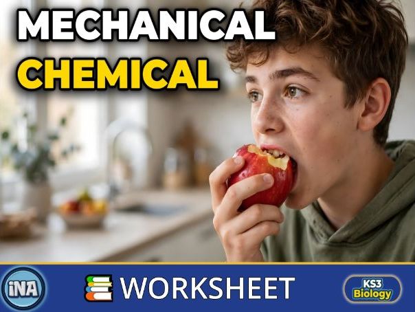 Mechanical and Chemical Digestion - KS3 Biology Worksheet