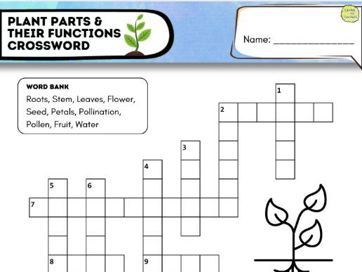 Plant Parts and Functions Crossword | Science Vocabulary Worksheet