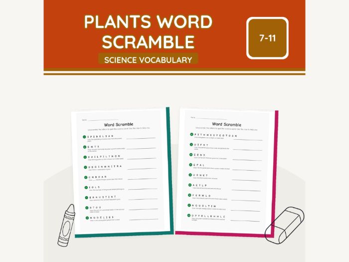 Plants Word Scramble KS2 Science | 5 Sheets