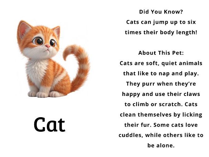 Pet Flashcards with Fun Facts | 3D Cartoon Animals | EYFS & KS1 Printable Vocabulary Cards