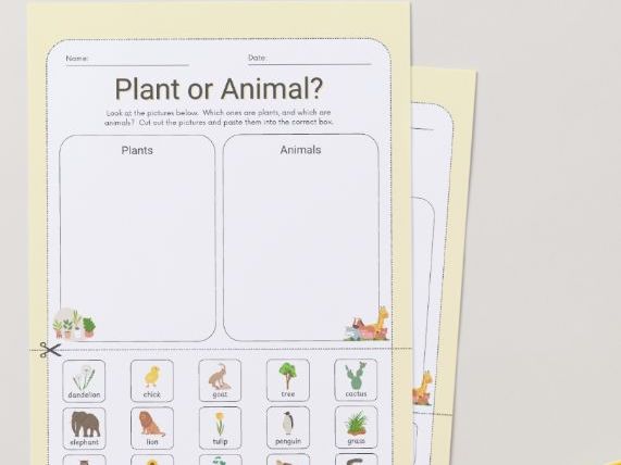 Plant or Animal? Sorting & Science Worksheets | Living Things | EYFS KS1