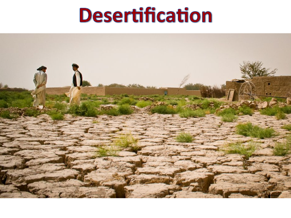 KS3 Deserts - Desertification