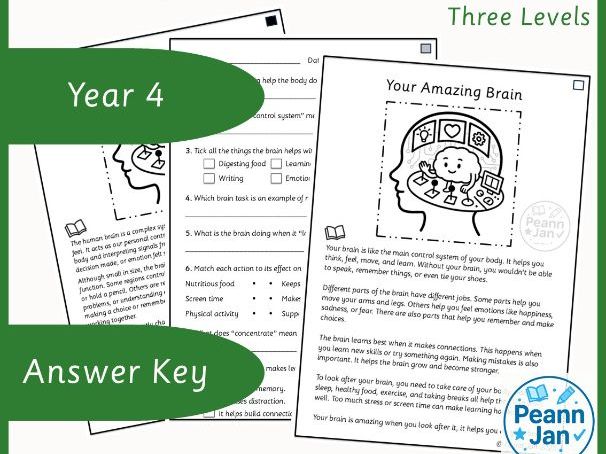 Year 4 Reading Comprehension - Your Amazing Brain