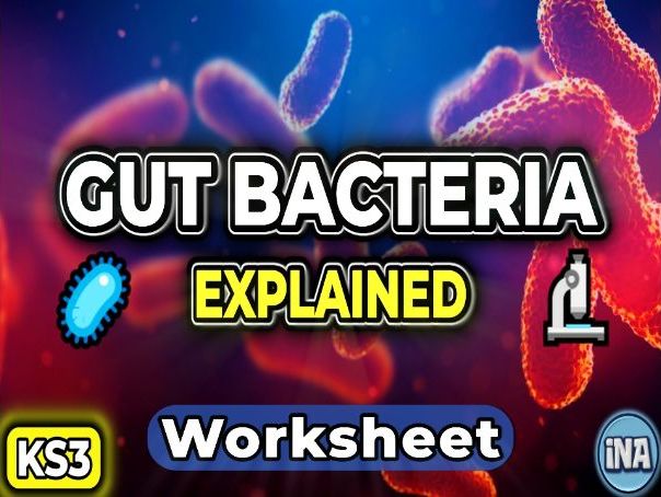 Bacteria in the Digestive System - KS3 Biology Worksheet