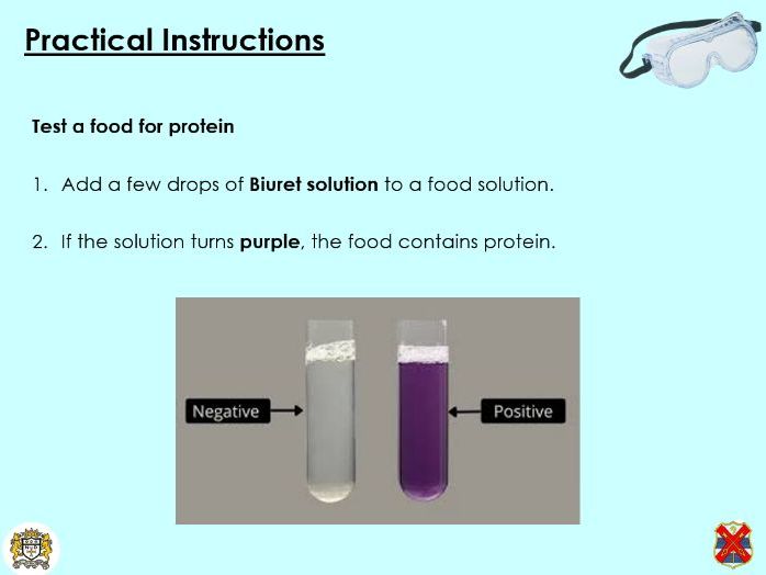 Food tests - KS3 Activate lesson