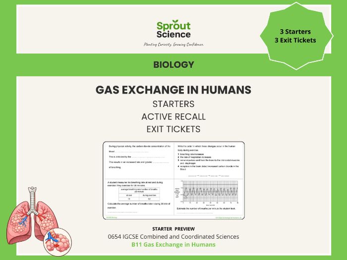 B11 Gas Exchange in Humans | Starter Activities & Exit Tickets | IGCSE Biology