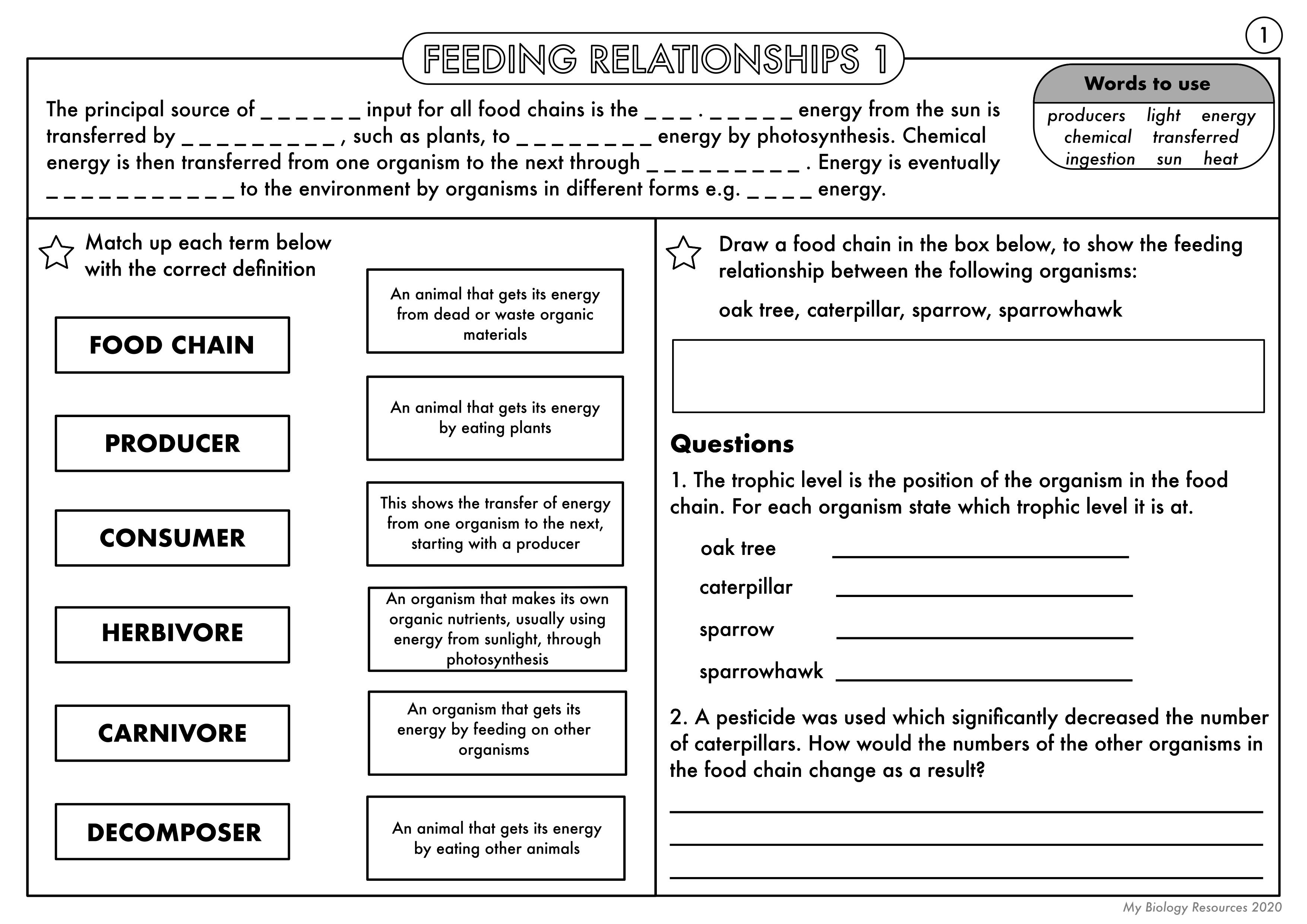 Energy Flow Worksheet Answers