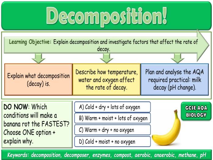 Decomposition AQA GCSE (9-1) Biology