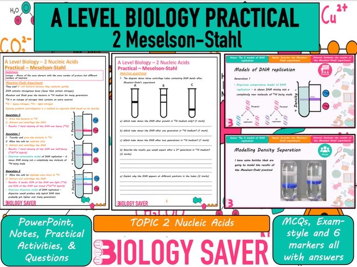 A Level Bio Practical - 2 Meselson-Stahl