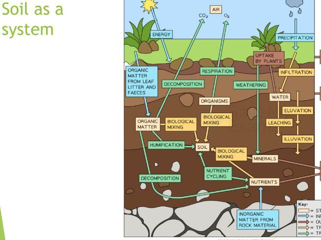 ESS 5.1 Introduction to soils first exams 2026