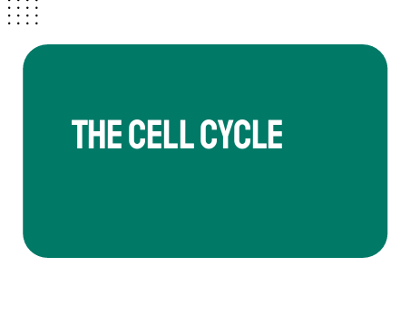 AP Biology Unit 4: Cell Cycle