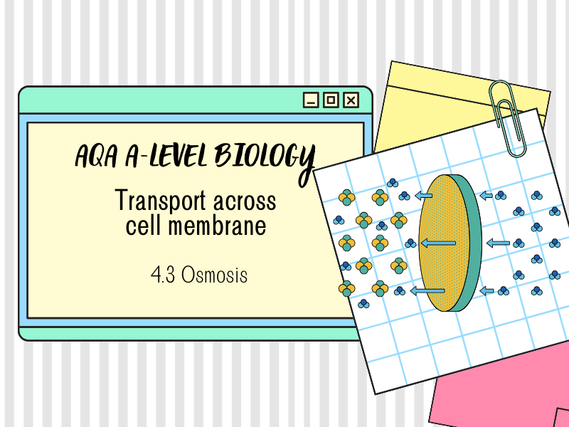 Osmosis (Chapter 4.3: Transport Across the Cell Membrane) - AQA A-Level Biology –