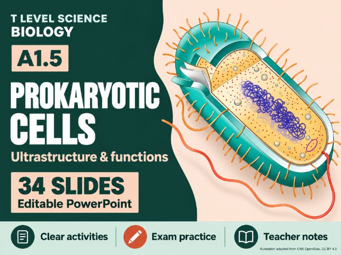 T Level Science - Biology A1.5 Prokaryotic Cells