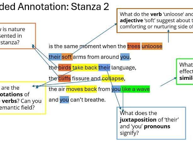 The Moment by Margaret Atwood - Lesson PPT