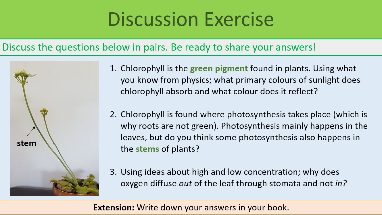 Photosynthesis KS3 Year 8 Teaching Resources