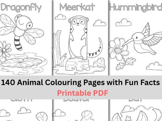FREE 140 Animal Colouring Pages with Fun Facts | Printable PDF for KS1 & EYFS