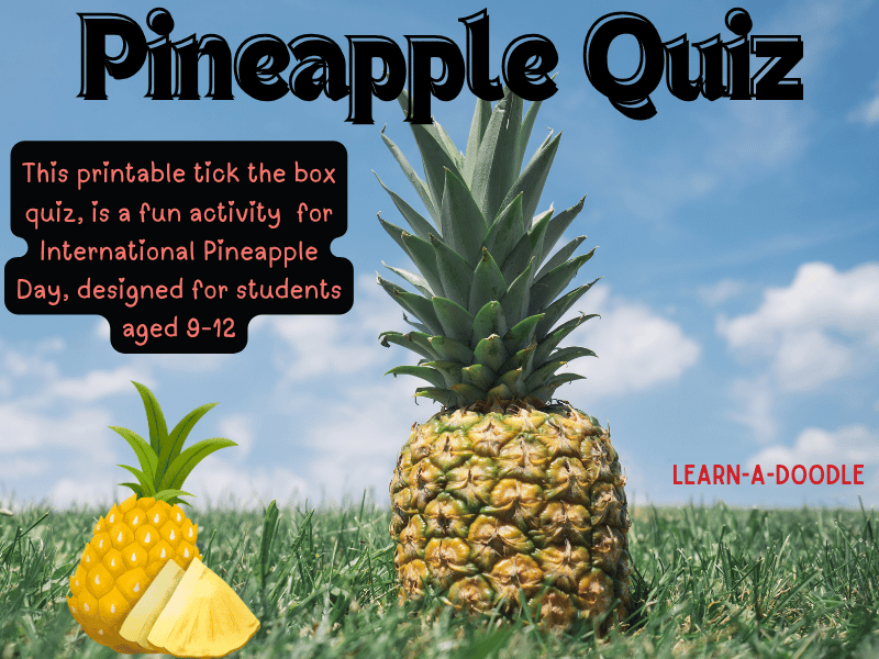 Test Your Pineapple Knowledge: The Ultimate Pineapple Quiz for Kids! June 27th