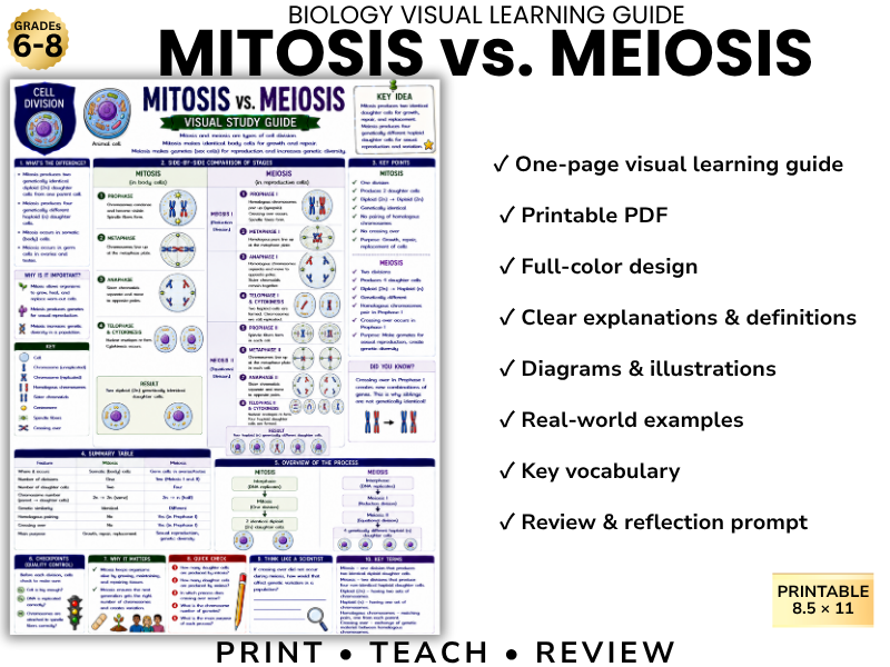 MITOSIS vs. MEIOSIS | Biology Visual Learning Guide | Grade 8 & Middle School Science
