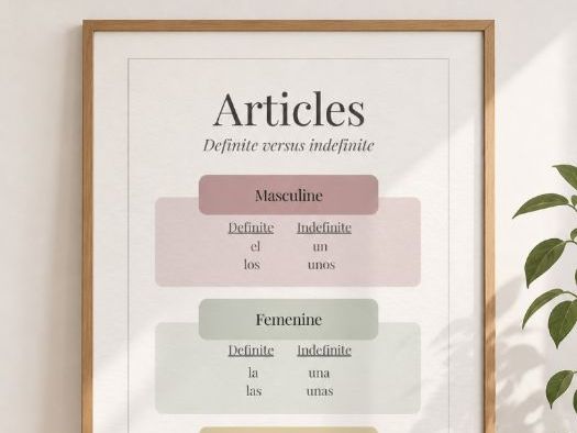 Spanish Articles Poster: Definite vs Indefinite