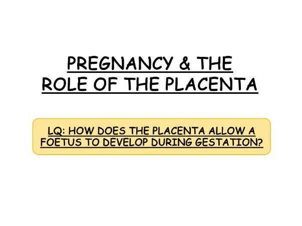 **iGCSE Biology Edexcel - PREGNANCY & THE ROLE OF THE PLACENTA**
