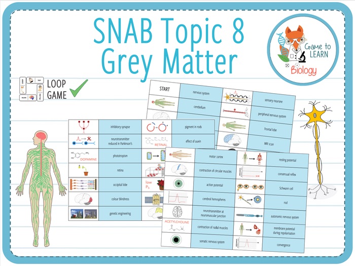 Edexcel biology a level 9bn0 picture