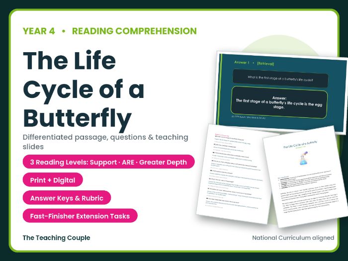 The Life Cycle of a Butterfly Reading Comprehension Bundle | Year 4 (KS2)
