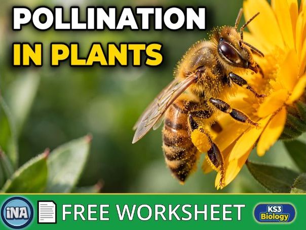 Pollination and Fertilisation - FREE KS3 Biology Worksheet