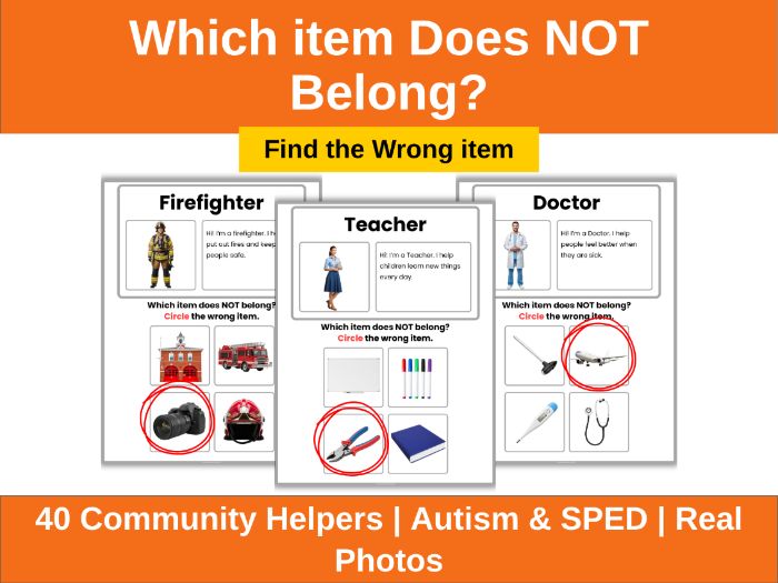Which item Does Not Belong Activity