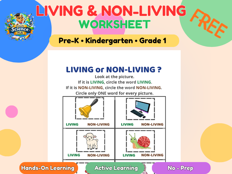 Living vs Non-Living Worksheet | Science Activity | Pre-K Kindergarten Grade 1 | FREE