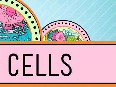 GCSE Biology B1 Cells Revision Spread