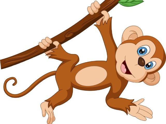 ¿Por qué te gusta el mono?