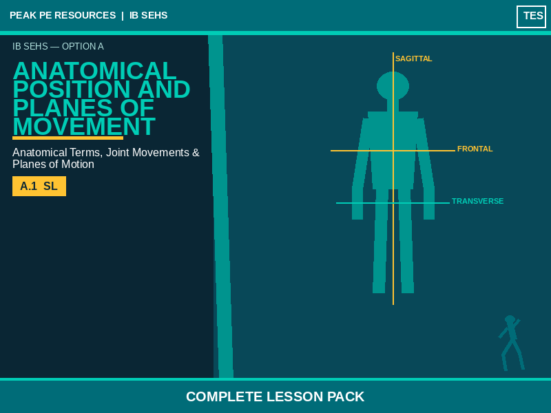 IB SEHS | Anatomical Position and Planes of Movement | Complete Lesson Pack | B.1 SL