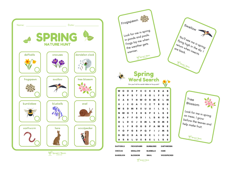 Spring Nature Hunt | Outdoor Learning Activity |KS1 & EYFS Seasonal Science