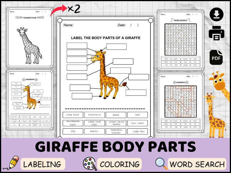 Giraffe Body Parts in English | Safari Animal Labeling, Coloring & Word Search Worksheets