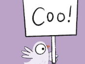 Don't Feed the Coos - Literacy Teaching Sequence - How to Guide